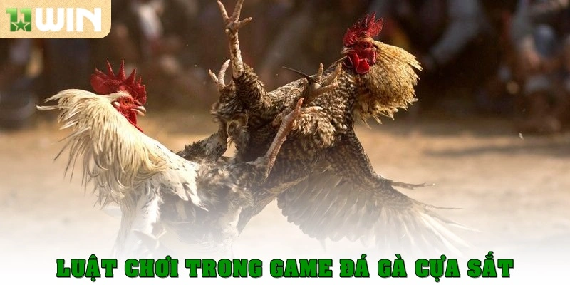Đá gà cựa sắt – Bộ môn kịch tính thu hút đông đảo kê thủ 2 Luật chơi trong game đá gà cựa sắt