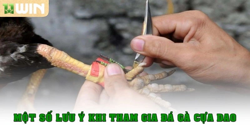 Đá Gà Cựa Dao - Siêu Phẩm Cá Cược Thịnh Hành Hiện Nay 2 Một số lưu ý khi tham gia đá gà cựa dao